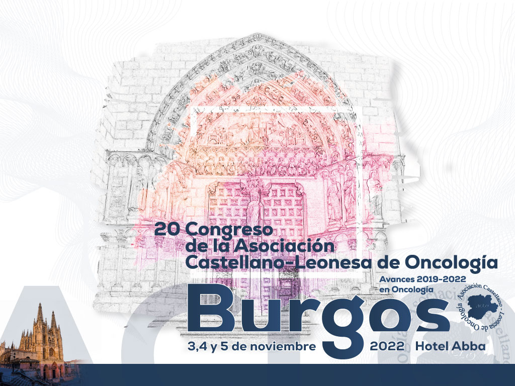 20 ACLO Burgos